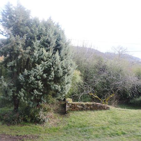 Les Marronniers Bed & Breakfast La Chapelle-sous-Brancion Bagian luar foto