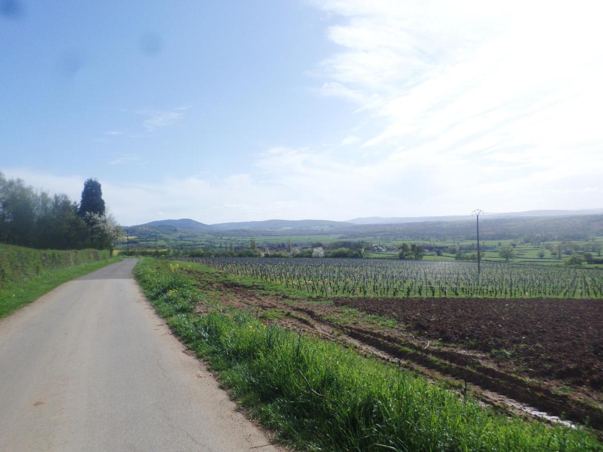 Les Marronniers Bed & Breakfast La Chapelle-sous-Brancion Bagian luar foto