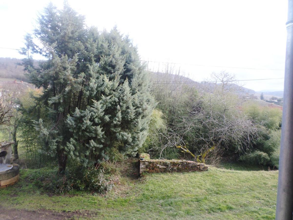 Les Marronniers Bed & Breakfast La Chapelle-sous-Brancion Bagian luar foto