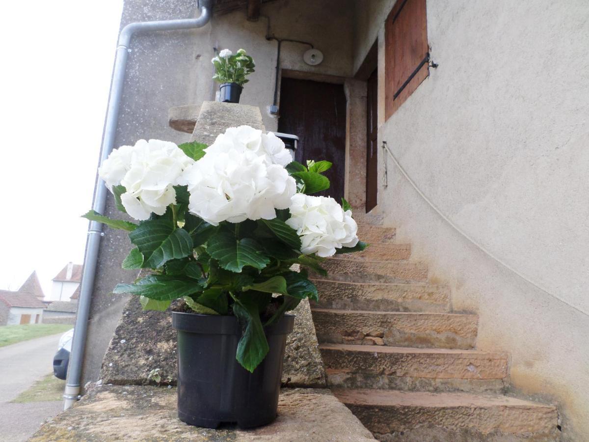 Les Marronniers Bed & Breakfast La Chapelle-sous-Brancion Bagian luar foto